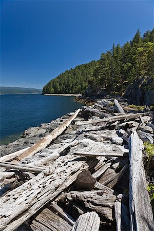 drift wood - Driftwood on Beach, Cortes Island, British Columbia, Canada Stock Photo - Premium Royalty-Free, Code: 600-01954690