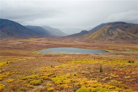 Lake in Tundra Valley, Tombstone Territorial Park, Yukon, Canada Stock Photo - Premium Royalty-Free, Code: 600-01954707