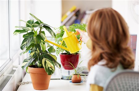 potted plant - Woman Watering Potted Plant Stock Photo - Premium Royalty-Free, Code: 600-01956057