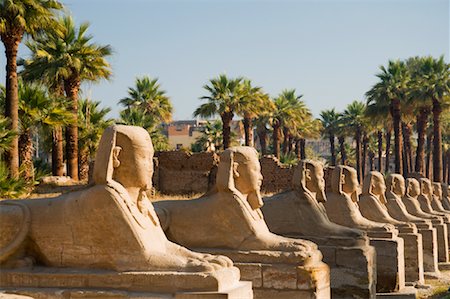 simsearch:600-02046686,k - Avenue of Sphinxes, Luxor Temple, Luxor, Egypt Stock Photo - Premium Royalty-Free, Code: 600-02033880