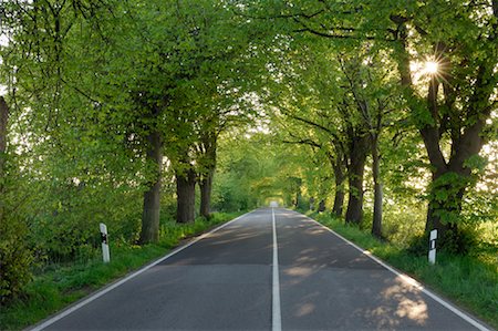 simsearch:600-01604007,k - Tree-Lined Country Road, Ruegen, Mecklenburg-Vorpommern, Germany Stock Photo - Premium Royalty-Free, Code: 600-02046267