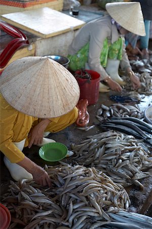 sharks people - Selling Fish, Duong Dong Market, Duong Dong, Phu Quoc, Vietnam Stock Photo - Premium Royalty-Free, Code: 600-02063564