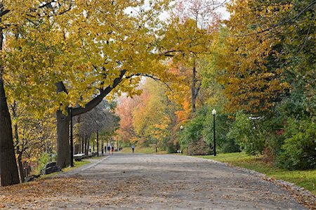 Mont Royal, Montreal, Quebec, Canada Stock Photo - Premium Royalty-Free, Code: 600-02076399