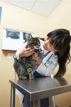 straight hair - Veterinarian with Cat Stock Photo - Premium Royalty-Free, Code: 600-02071456