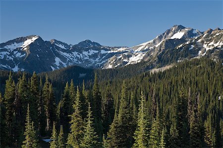 Mountains, Mount Revelstoke National Park, British Columbia, Canada Stock Photo - Premium Royalty-Free, Code: 600-02080656