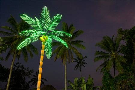Artificial Palm Tree at Night Stock Photo - Premium Royalty-Free, Code: 600-02081196