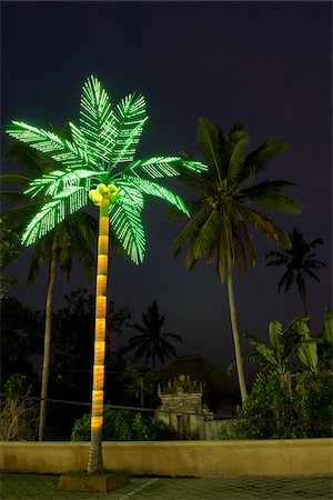 Artificial Palm Tree at Night Stock Photo - Premium Royalty-Free, Code: 600-02081197