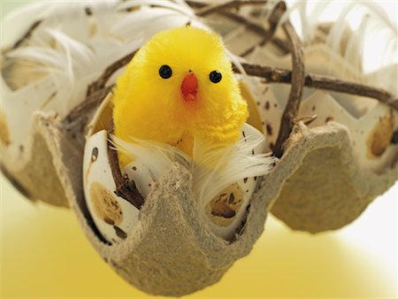 feather detail - Easter Chick in Broken Eggshell Stock Photo - Premium Royalty-Free, Code: 600-02244931