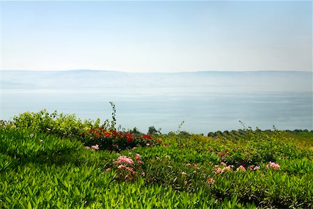 Sea of Galilee, Lake Tiberias, Israel Stock Photo - Premium Royalty-Free, Code: 600-02265636