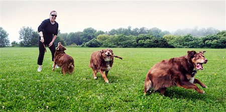 dog stick - Multiple Exposure of Woman Playing with Dog Stock Photo - Premium Royalty-Free, Code: 600-02312321