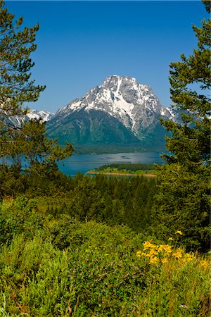 simsearch:600-01603974,k - Grand Teton Mountains, Wyoming, USA Stock Photo - Premium Royalty-Free, Code: 600-02371378