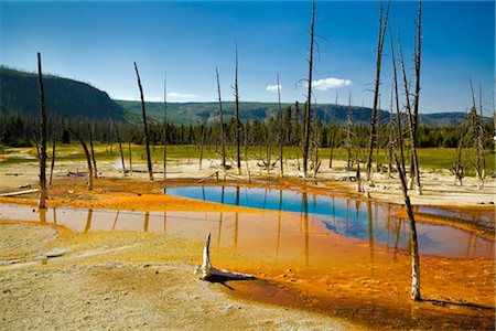 spring (body of water) - Natural Pool, Yellowstone National Park, Wyoming, USA Stock Photo - Premium Royalty-Free, Code: 600-02371393