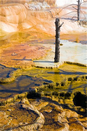 spring (body of water) - Mammoth Hot Springs, Yellowstone National Park, Wyoming, USA Stock Photo - Premium Royalty-Free, Code: 600-02371408