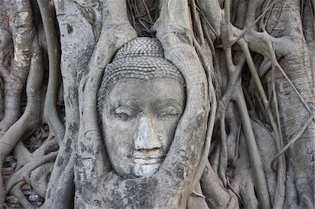 Buddha Statue in Fig Tree, Ayutthaya, Thailand Stock Photo - Premium Royalty-Free, Code: 600-02428496