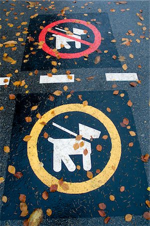 Dog Symbols on Wet Paved Road in Autumn Stock Photo - Premium Royalty-Free, Code: 600-02461500