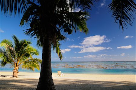 Palm Trees and Chair on Beach, Paradise Cove, Aitutaki, Cook Island Stock Photo - Premium Royalty-Free, Code: 600-02590565