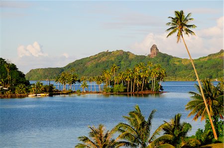 Overview of Bay, Huahine, French Polynesia Stock Photo - Premium Royalty-Free, Code: 600-02590602