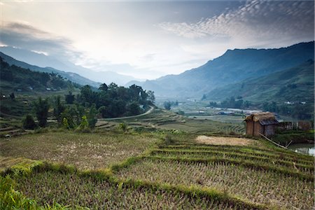 simsearch:600-02738422,k - Rice Fields, Sa Pa, Province de Lao Cai, Vietnam Photographie de stock - Premium Libres de Droits, Code: 600-02638027