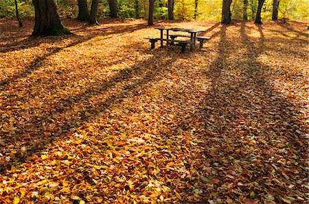 Picnic Table in Autumn Forest, Fuerstenfeldbruck, Bavaria, Germany Stock Photo - Premium Royalty-Free, Code: 600-02633495