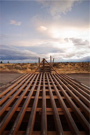 ranch nobody usa - Cattle Guard, Warm Springs, Oregon, USA Stock Photo - Premium Royalty-Free, Code: 600-02669349