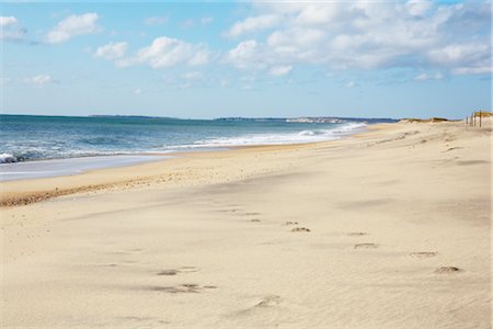 east coast - Long Point Wildlife Refuge, West Tisbury, Martha's Vineyard, Massachusetts, USA Stock Photo - Premium Royalty-Free, Code: 600-02693434