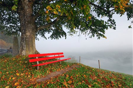 Bench and Lime Tree, Switzerland Stock Photo - Premium Royalty-Free, Code: 600-02693539