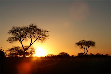 Sunset, Okahandja, Otjozondjupa Region, Namibia Stock Photo - Premium Royalty-Free, Code: 600-02700948