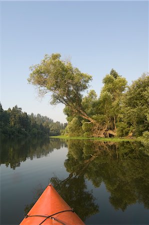 riverbank - Russian River, Jenner, California, USA Foto de stock - Sin royalties Premium, Código: 600-02723097