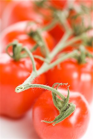 simsearch:600-02738506,k - Vine Tomatoes Stock Photo - Premium Royalty-Free, Code: 600-02738502