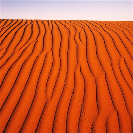 simsearch:600-05524186,k - Desert, Red Sand Dune Stock Photo - Premium Royalty-Free, Code: 600-02885960