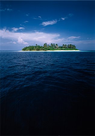 simsearch:600-02886000,k - Tropical Seascape, Island with Coconut Palm Trees Stock Photo - Premium Royalty-Free, Code: 600-02885999