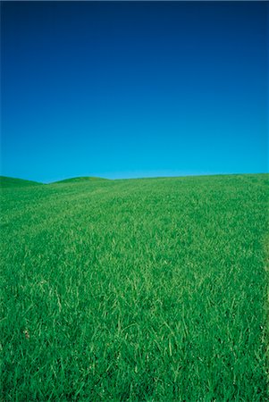 simsearch:600-02886000,k - Landscape, Green Hill, Blue Sky Stock Photo - Premium Royalty-Free, Code: 600-02886007