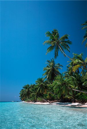 simsearch:600-02886000,k - Tropical Seascape, Coconut Palm Trees on Beach Stock Photo - Premium Royalty-Free, Code: 600-02886002