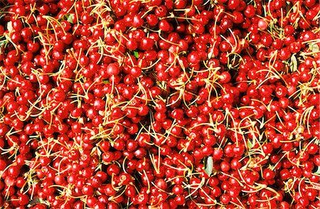 Cherries in Field Bin Stock Photo - Premium Royalty-Free, Code: 600-02886175