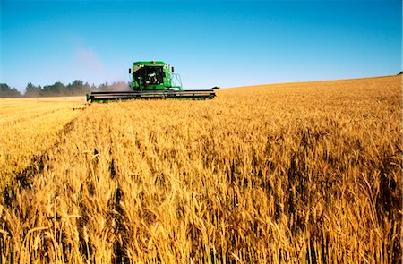 farm machine harvester - Wheat Harvesting, Australia Stock Photo - Premium Royalty-Free, Code: 600-02886264