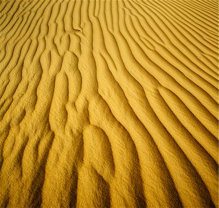 simsearch:600-05524186,k - Sand Pattern, Sand Dune, Nambung National Park, Australia Stock Photo - Premium Royalty-Free, Code: 600-02886367