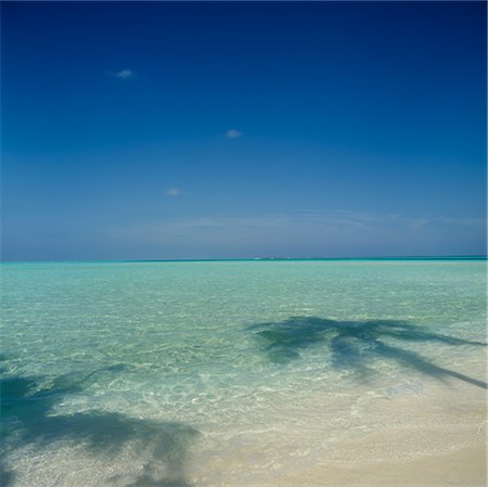 paradise (place of bliss) - Palm Tree Shadows on Beach Stock Photo - Premium Royalty-Free, Code: 600-02886543