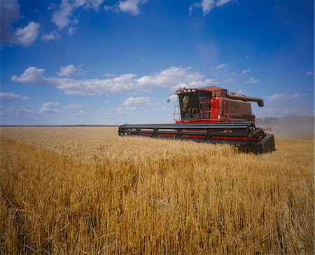 farmer in wheat field - Wheat Harvesting, Australia Foto de stock - Sin royalties Premium, Código: 600-02886559