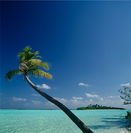 simsearch:600-02886000,k - Palm Tree with Island in Distance Stock Photo - Premium Royalty-Free, Code: 600-02886575