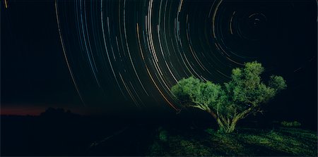 star track - Tree with Star Trails Stock Photo - Premium Royalty-Free, Code: 600-02886608