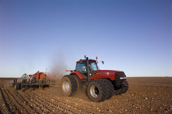 Cultivation Of Wheat. Wheat Sowing, Tractor Pulling