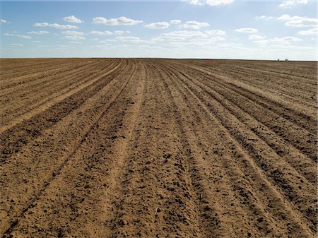 furrowed fields - Ploughed Field Ready for Wheat Sowing, Australia Stock Photo - Premium Royalty-Free, Code: 600-02886656