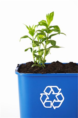 Plant and Soil in Recycling Bin Stock Photo - Premium Royalty-Free, Code: 600-02883247