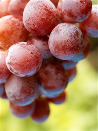 red grape - Red Globe Grapes Stock Photo - Premium Royalty-Free, Code: 600-02883280