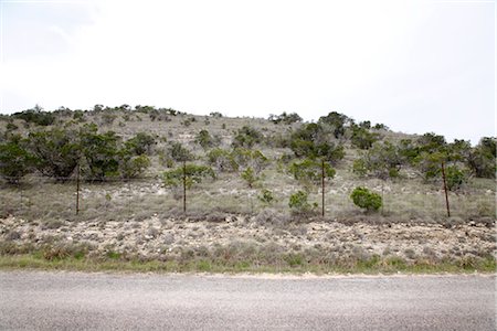 Texas Hill Country, Texas, USA Stock Photo - Premium Royalty-Free, Code: 600-02912281