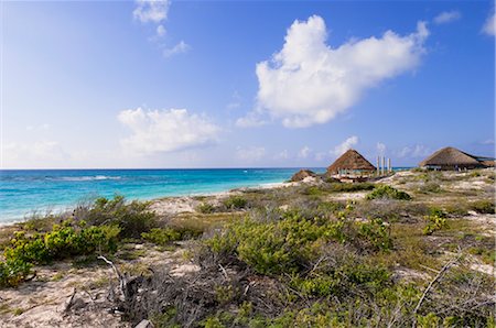 Cayo Largo, Cuba Stock Photo - Premium Royalty-Free, Code: 600-02943318