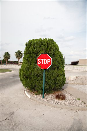 Stop Sign by Bush, Del Rio, Val Verde County, Texas, USA Stock Photo - Premium Royalty-Free, Code: 600-03054122