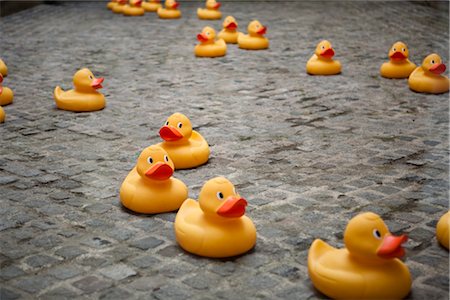 rubber duck - Rubber Ducks on Road, Paris, France Stock Photo - Premium Royalty-Free, Code: 600-03069073