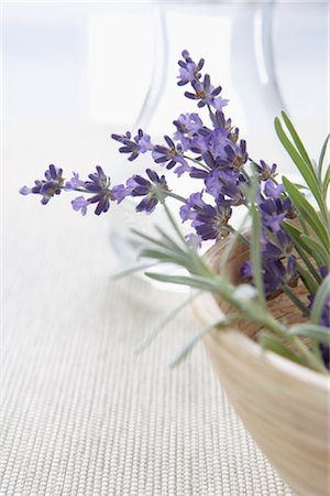 Lavender Flowers Stock Photo - Premium Royalty-Free, Code: 600-03152631