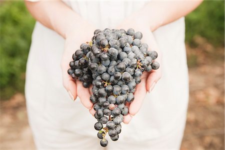 Close-up of Woman Holding Grapes Stock Photo - Premium Royalty-Free, Code: 600-03153005